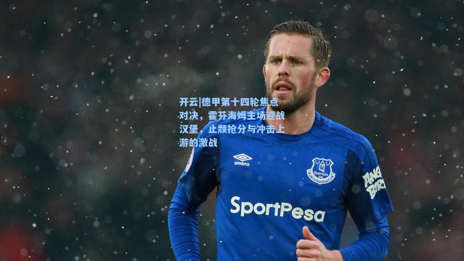 德甲第十四轮焦点对决,霍芬海姆主场迎战汉堡,止颓抢分与冲击上游的激战